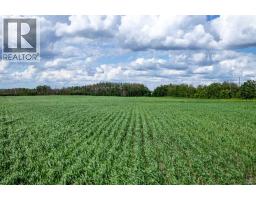 Ne-36-50-8-w4, Rural Minburn No  27, County Of, AB T0B3B0 Photo 19