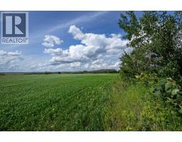 Ne-36-50-8-w4, Rural Minburn No  27, County Of, AB T0B3B0 Photo 17