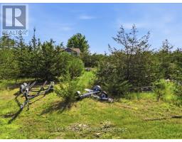 937 Rosebush Road, Quinte West, ON K0K2C0 Photo 11