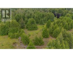 Plt10c4 Craig Road W, North Grenville, ON K0G1S0 Photo 12