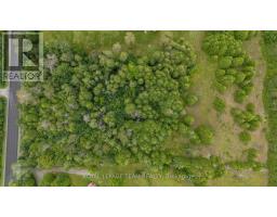 Plt10c4 Craig Road W, North Grenville, ON K0G1S0 Photo 14