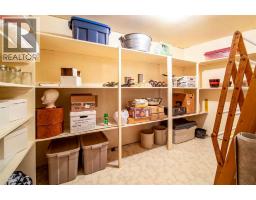 405065 Rge Rd 63, Czar, AB T0B0Z0 Photo 32