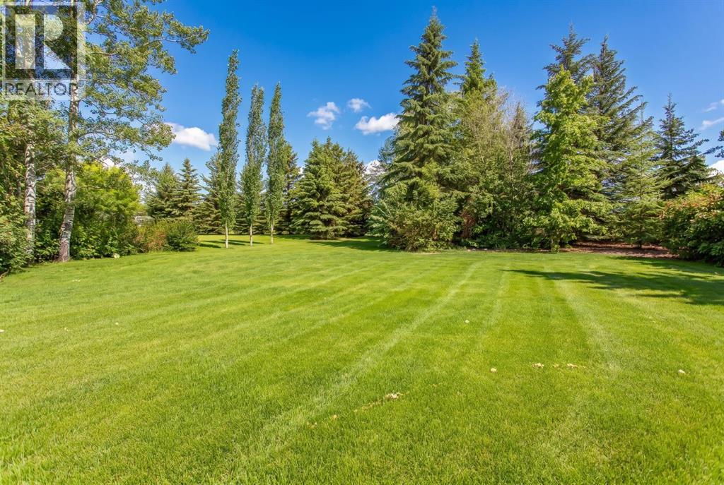 2541124 Range Road 282 - Photo 5
