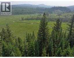 Dl11884 Blackwater Road, Quesnel, BC V2J7J2 Photo 6