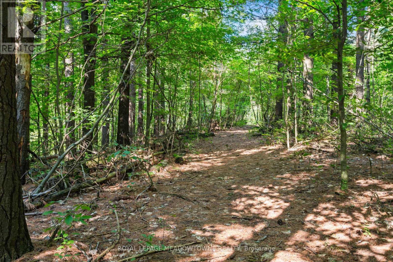 16703 MISSISSAUGA ROAD E - Image 36
