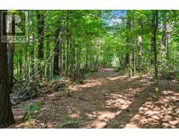 16703 Mississauga Road E, Caledon, ON L7K1M8 Photo 36