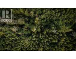 Lot D Trailhead Dr, Sooke, BC V9Z1L0 Photo 8