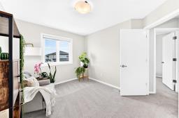 99 Whooping Crane Drive, Winnipeg, MB R2V5J1 Photo 38