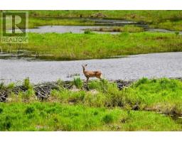 1220 Nepewassi Lake Road, Estaire, ON P3E4N1 Photo 35