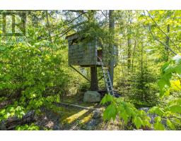 293 Aberdeen Drive, Halifax, NS B2T0H1 Photo 47