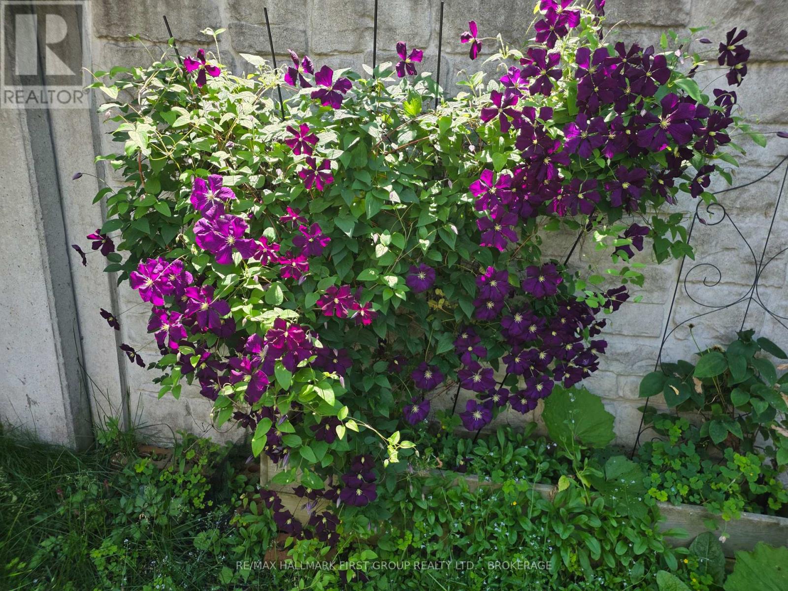 96 BRICELAND STREET - Image 42