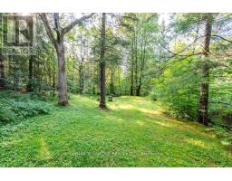 20 Meadowbrook Drive, Laurentian Valley, ON K8A7C3 Photo 38