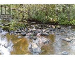 20 Meadowbrook Drive, Laurentian Valley, ON K8A7C3 Photo 46