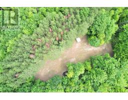 725 Purple Valley Road, South Bruce Peninsula, ON N0H2T0 Photo 10