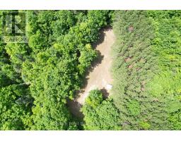 725 Purple Valley Road, South Bruce Peninsula, ON N0H2T0 Photo 15