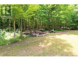 725 Purple Valley Road, South Bruce Peninsula, ON N0H2T0 Photo 19