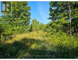 725 Purple Valley Road, South Bruce Peninsula, ON N0H2T0 Photo 6