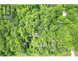 725 Purple Valley Road, South Bruce Peninsula, ON N0H2T0 Photo 7