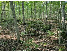 725 Purple Valley Road, South Bruce Peninsula, ON N0H2T0 Photo 9