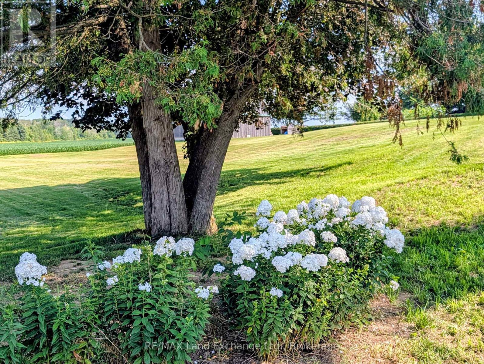 2866 HWY 9 HIGHWAY - Image 39