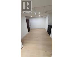 Basement - 328 Woodspring Avenue, Newmarket, ON L3X3B1 Photo 18