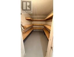 Basement - 328 Woodspring Avenue, Newmarket, ON L3X3B1 Photo 23
