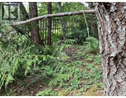 2364 French Rd, Sooke, BC V9Z0M5 Photo 9