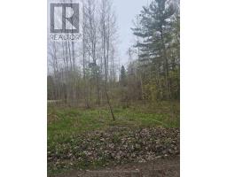 Lt 147 Pilon Road, Tiny, ON L0L2J0 Photo 15