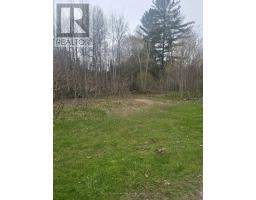 Lt 147 Pilon Road, Tiny, ON L0L2J0 Photo 16
