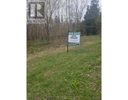 Lt 147 Pilon Road, Tiny, ON L0L2J0 Photo 18