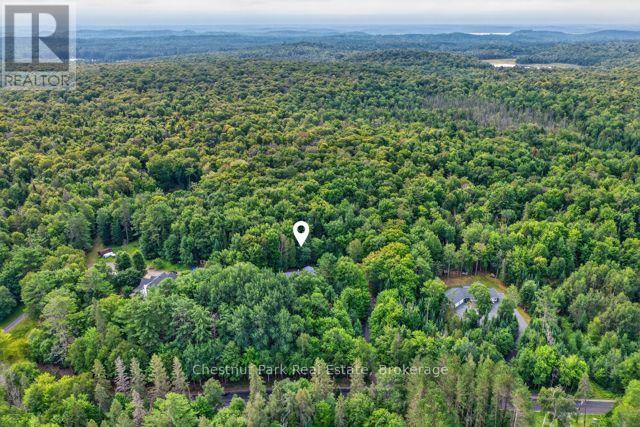 1039 SOUTH WASEOSA LAKE ROAD - Image 41