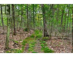 1039 South Waseosa Lake Road, Huntsville, ON P1H2N5 Photo 39