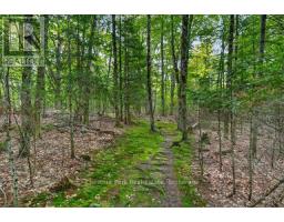 1039 South Waseosa Lake Road, Huntsville, ON P1H2N5 Photo 40