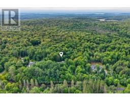 1039 South Waseosa Lake Road, Huntsville, ON P1H2N5 Photo 41