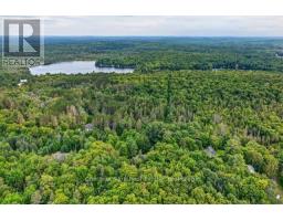 1039 South Waseosa Lake Road, Huntsville, ON P1H2N5 Photo 43