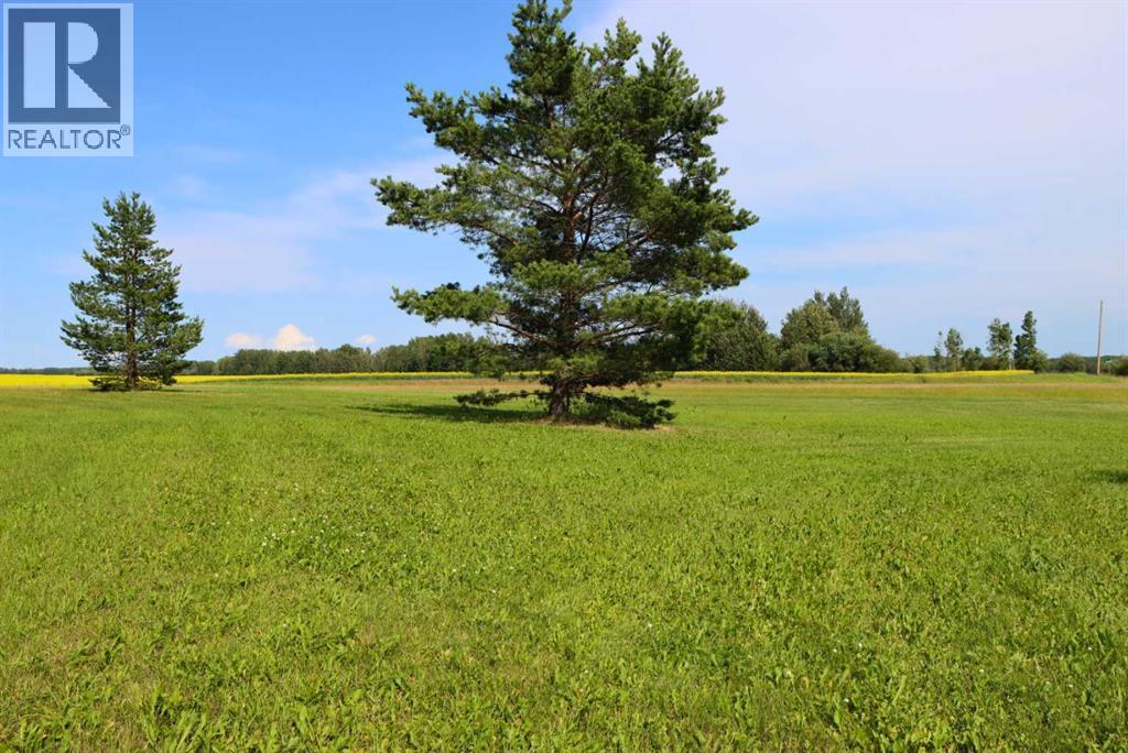 71004 Range Road 202 - Photo 38
