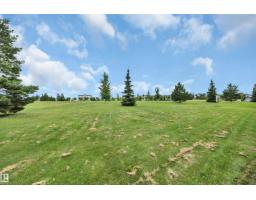 24 Birchmont Dr, Leduc, AB T9E8S3 Photo 58