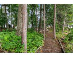 31 Gidley Turnpike, Georgian Bay, ON P0E1E0 Photo 47