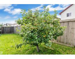 14031 136 St Nw, Edmonton, AB T6V1W8 Photo 41