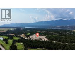 Partial bathroom - 775 Copper Ridge Lane, Windermere, BC V0A1K3 Photo 7