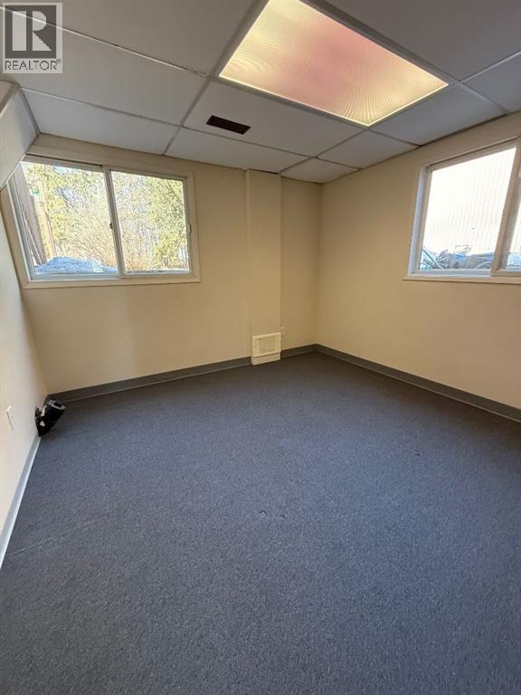 74420 Range Road 172 - Photo 19