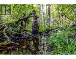 688 Prince Road E, Madawaska Valley, ON K0J2N0 Photo 10