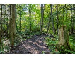 688 Prince Road E, Madawaska Valley, ON K0J2N0 Photo 11