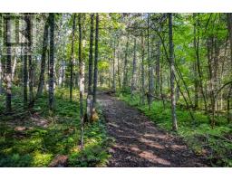 688 Prince Road E, Madawaska Valley, ON K0J2N0 Photo 12