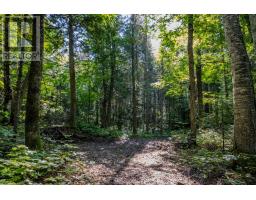 688 Prince Road E, Madawaska Valley, ON K0J2N0 Photo 13