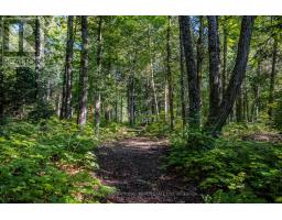 688 Prince Road E, Madawaska Valley, ON K0J2N0 Photo 14