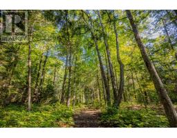 688 Prince Road E, Madawaska Valley, ON K0J2N0 Photo 15