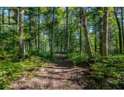 688 Prince Road E, Madawaska Valley, ON K0J2N0 Photo 16
