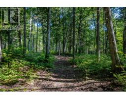 688 Prince Road E, Madawaska Valley, ON K0J2N0 Photo 17