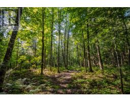 688 Prince Road E, Madawaska Valley, ON K0J2N0 Photo 18